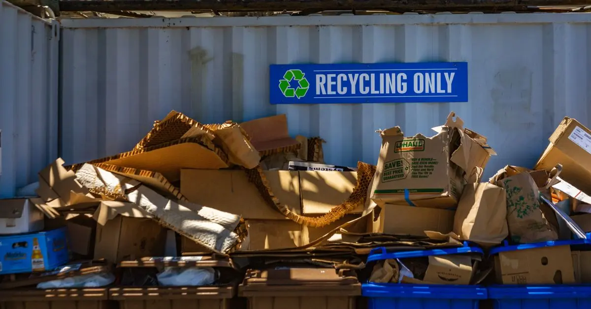Les Meilleurs Matériaux Écologiques pour 2026